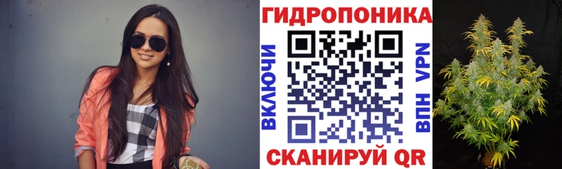 Бошки марихуана конопля  Нолинск 